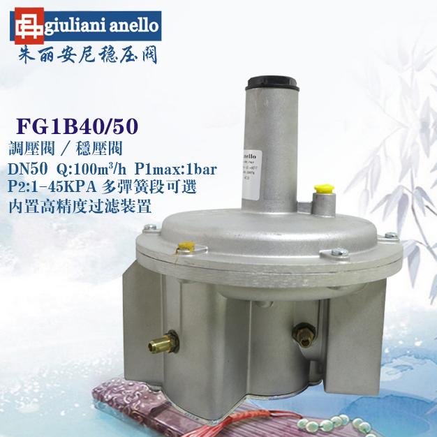 FG1B50/40穩(wěn)壓閥giuliani anello朱麗安尼