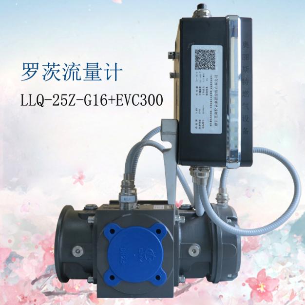 羅茨流量計(jì)LLQ-25Z-G16+EVC300蒼南氣體羅茨流量計(jì)
