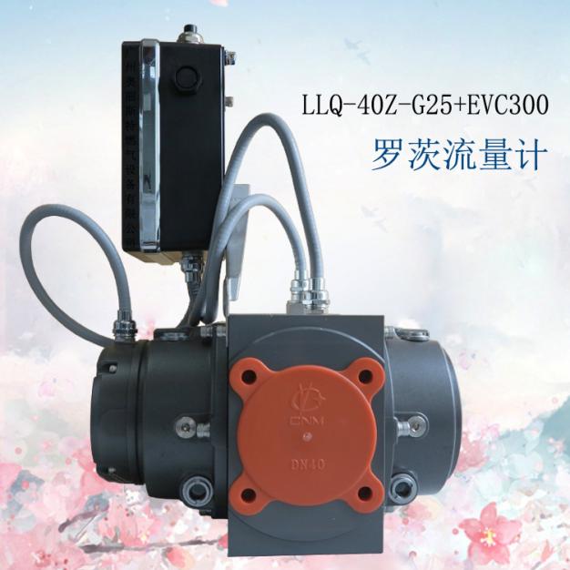流量計(jì)LLQ-40Z-G25+EVC300蒼南氣體羅茨流量計(jì)