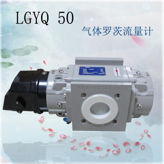 LQYQ50腰輪燃氣流量計/智能氣體羅茨流量計