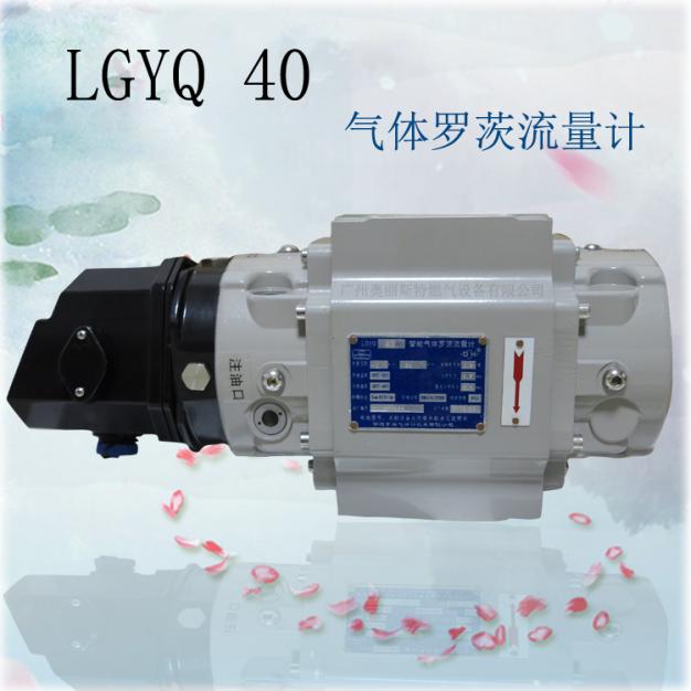 腰輪燃氣流量計LQYQ40智能氣體羅茨流量計
