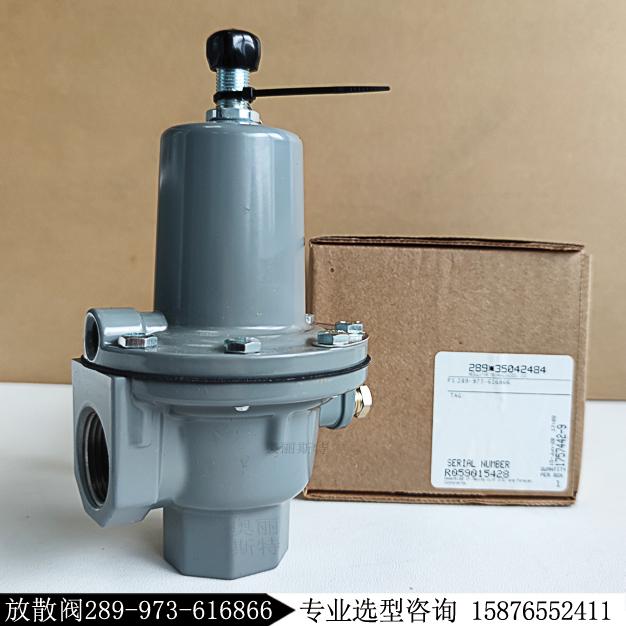 Fisher安全放散閥289H-41新編碼289-973-616866現貨