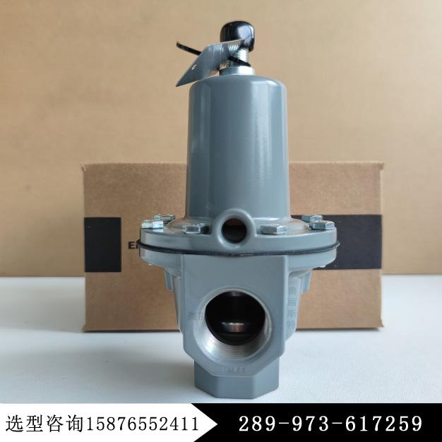 美國FISHER費希爾泄壓閥289-973-617259現貨庫存