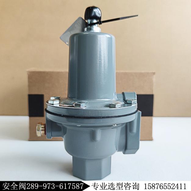 美國fisher費希爾289H-43燃氣安全閥289-973-617587現貨