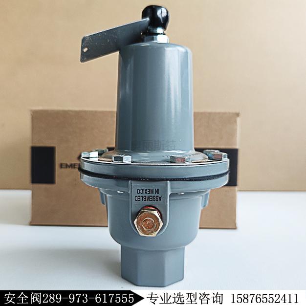 費希爾289H-49安全閥FISHER美國289-973-617555放散閥現貨庫存