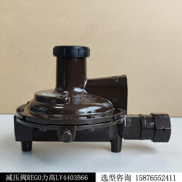 原裝正品REGO力高LV4403B66燃?xì)鉁p壓閥現(xiàn)貨