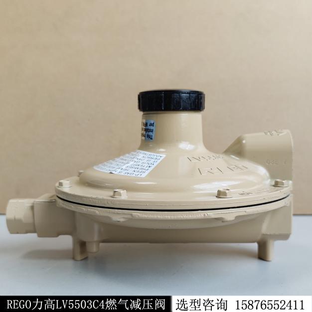 調(diào)壓器REGO煤氣燃?xì)釲PG低壓減壓閥LV5503C4現(xiàn)貨庫存